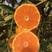 红美人柑橘苗，爱媛38号苗，品种正宗可签合同易成活结果快
