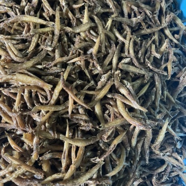 精品泥鳅鱼干，一手货源产地直发品质保证量大从优