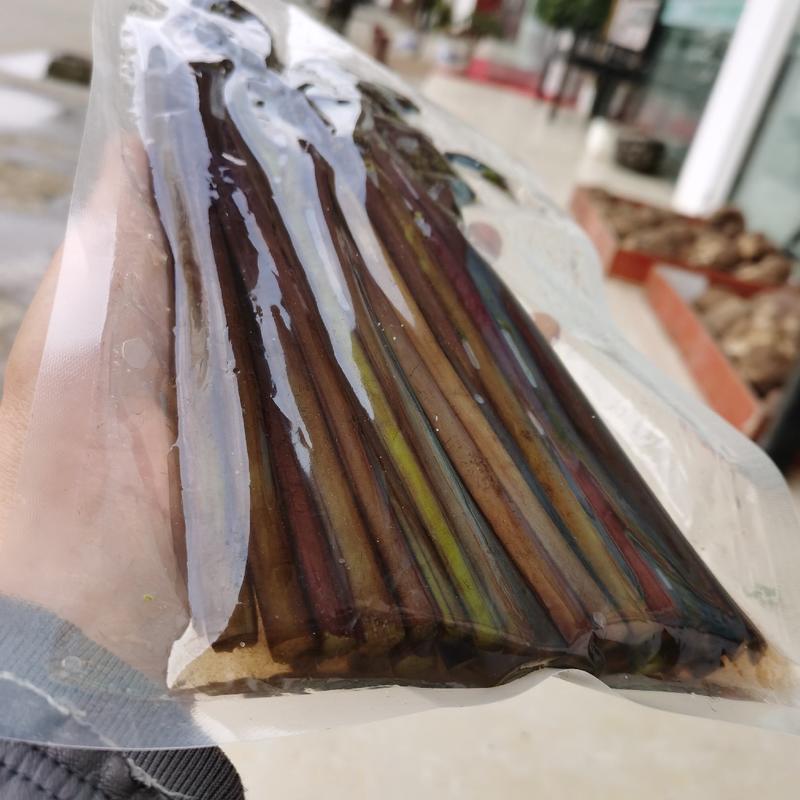 贵州山区盐泽紫蕨菜蕨苔鲜蕨菜真空包装产地低价零售批发