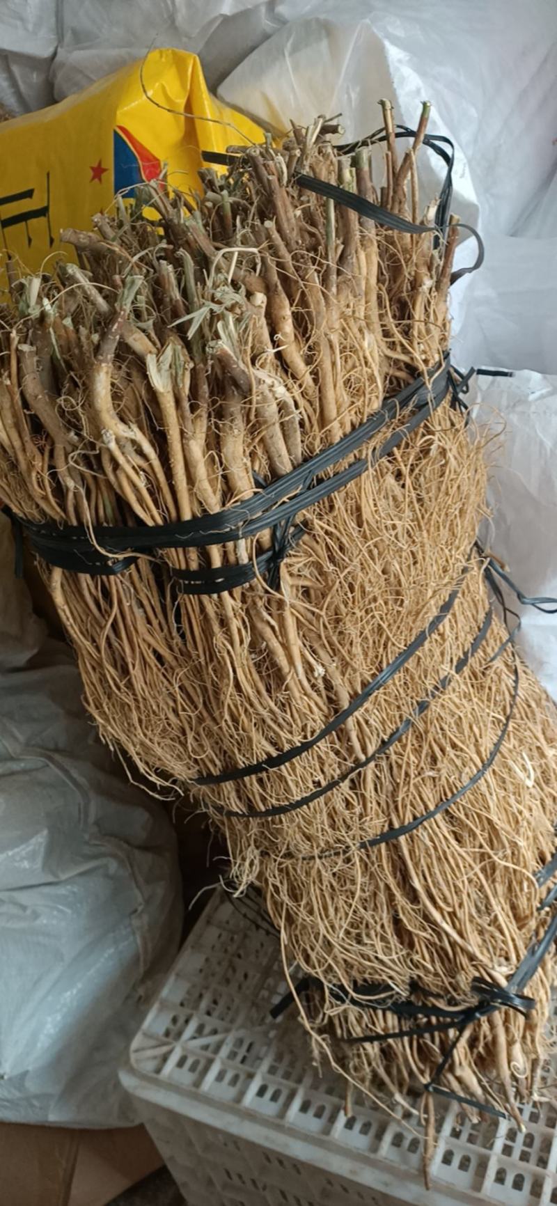 【包邮】赣州石参根鲜货干货大量有货足干无硫品质保证