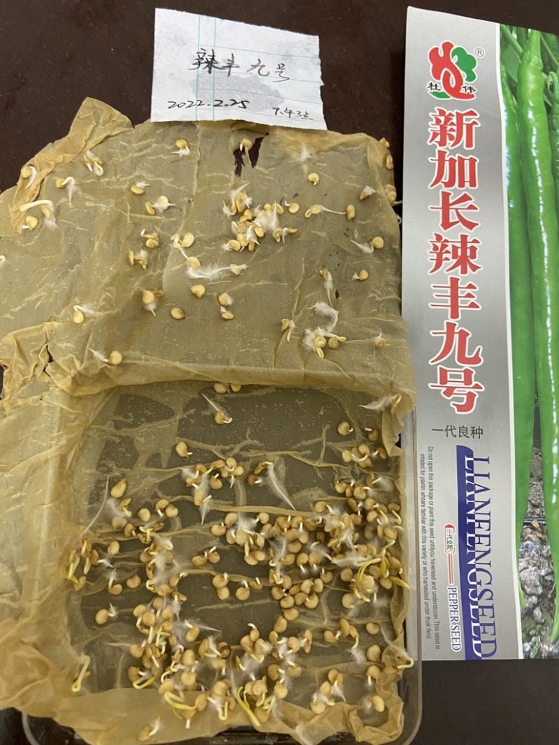 辣椒种子特价出售，一袋10元1000粒装