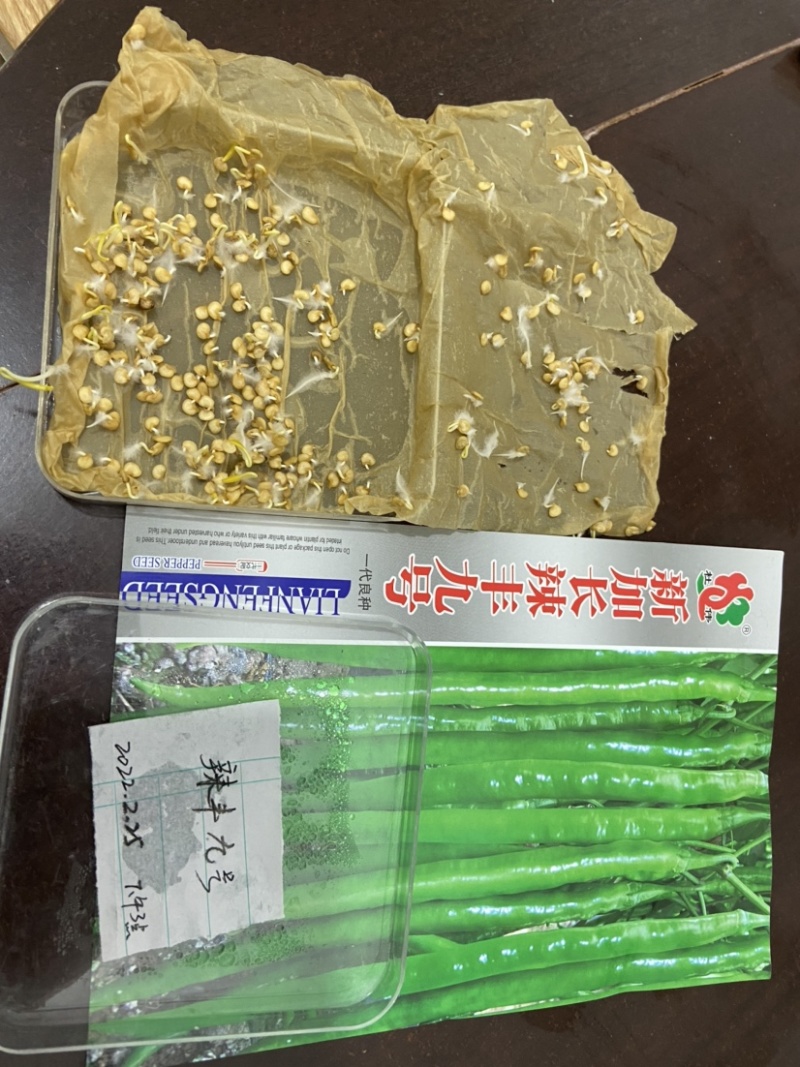 辣椒种子特价出售，一袋10元1000粒装