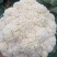 精品花菜大量上市，新鲜现货，量大从优，品质保证
