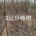 柿树，杨峰，新东阳，八月黄，火罐，品种多，规格全