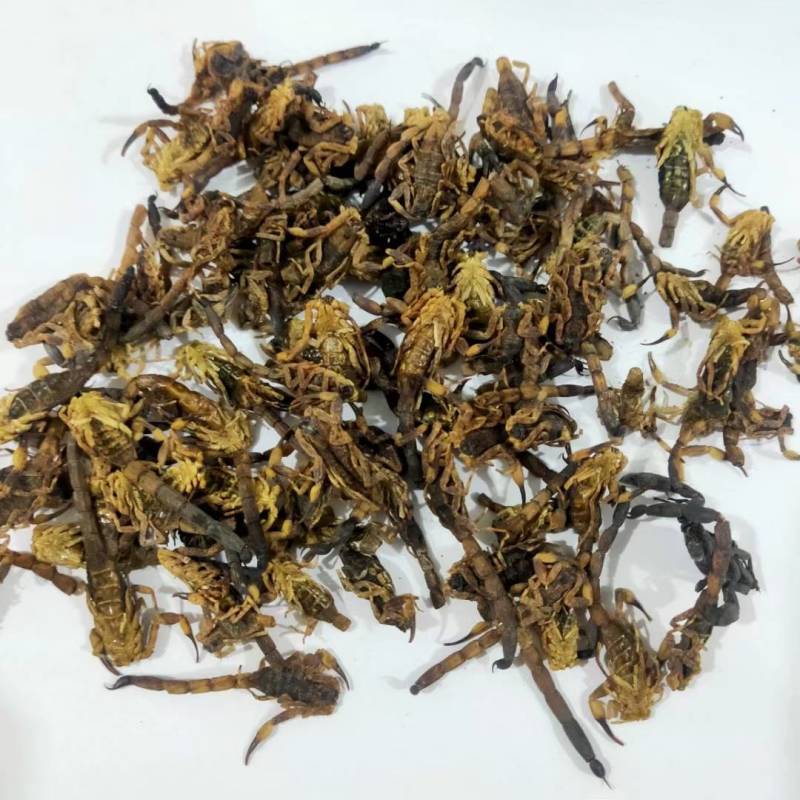 全蝎，进口货纯干货实图拍摄颜色好看欢迎选购