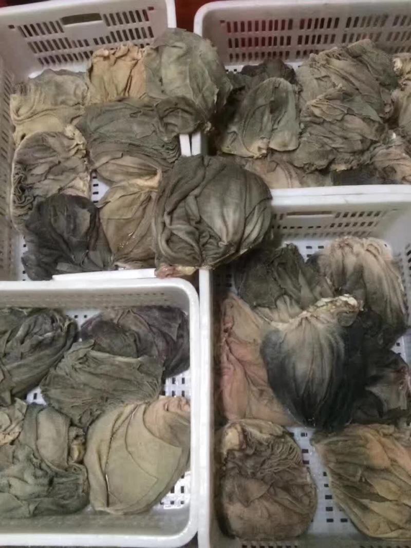 新鲜牛百叶，新鲜牛毛肚，新鲜漂亮，长期供应