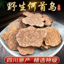 何首乌规格齐全制何首乌一公斤起批中药材不包邮
