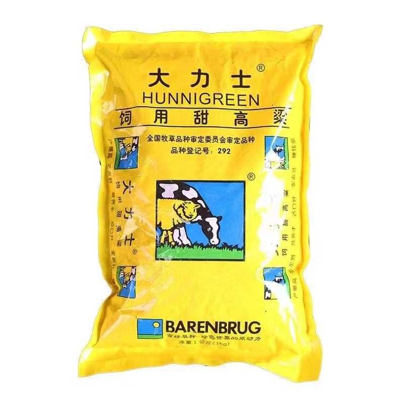大力士饲用甜高粱牛羊鹅鱼高产牧草青贮种子饲用甜高粱种子