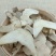 云南三叉白芨片颜色漂亮品质优良正品白芨中药材旱