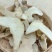 云南三叉白芨片颜色漂亮品质优良正品白芨中药材旱