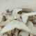 云南三叉白芨片颜色漂亮品质优良正品白芨中药材旱