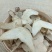 云南三叉白芨片颜色漂亮品质优良正品白芨中药材旱