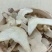 云南三叉白芨片颜色漂亮品质优良正品白芨中药材旱
