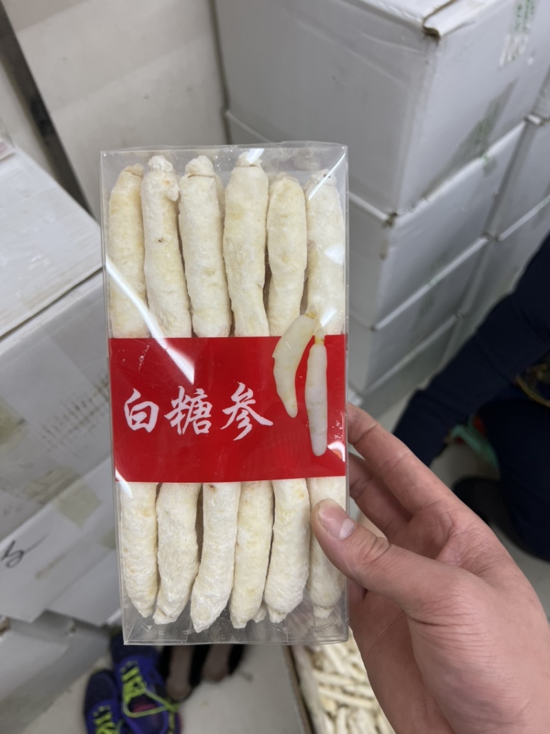 白糖参
