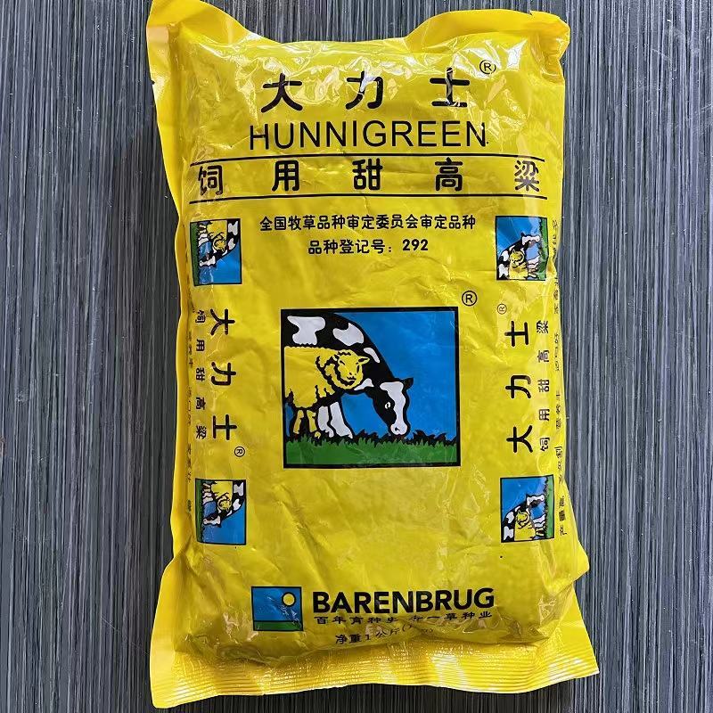 大力士饲用甜高粱牛羊鹅鱼高产牧草青贮种子饲用甜高粱种子