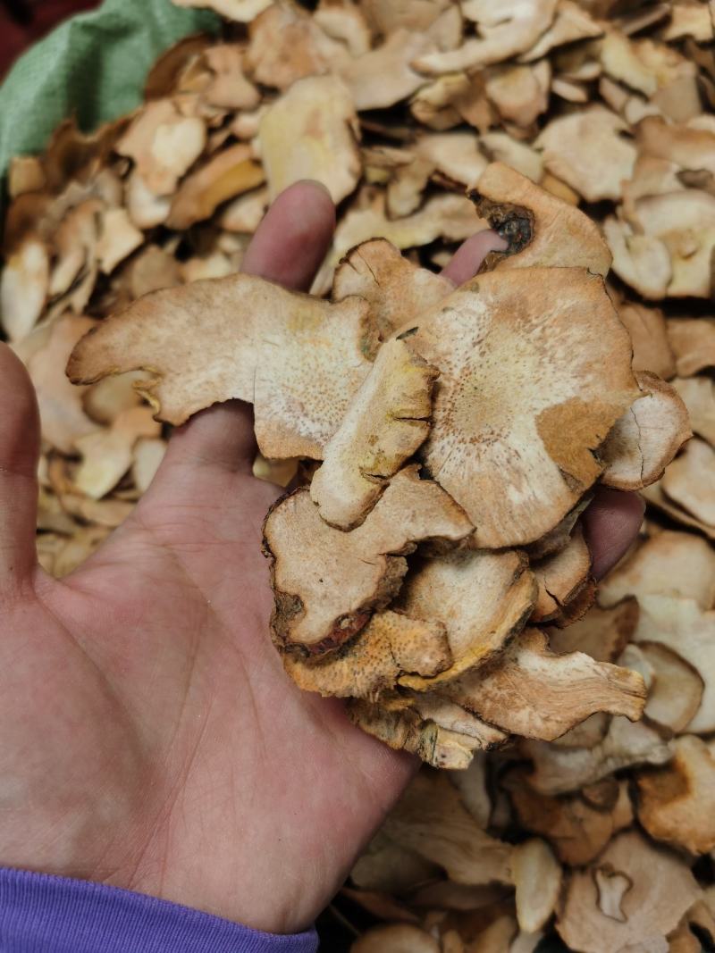土茯苓批发产地货源土茯苓片