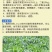 大力士饲用甜高粱牛羊鹅鱼高产牧草青贮种子饲用甜高粱种子