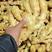 姜种368高产王，大黄姜种二黄姜种提供技术指导，全国发货