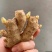 小黄姜种大黄姜种小黄姜种，姜种大量有货提供技术支持