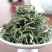 一两黄金一两茶保靖黄金茶大量有货品质保证欢迎老板电话联系
