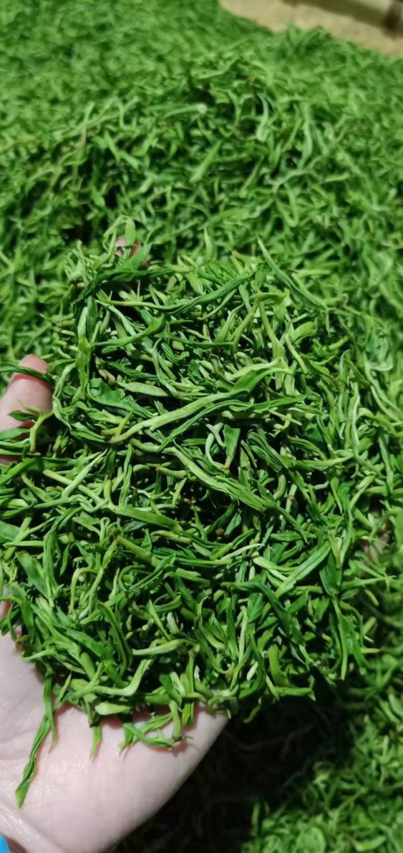 一两黄金一两茶保靖黄金茶大量有货品质保证欢迎老板电话联系