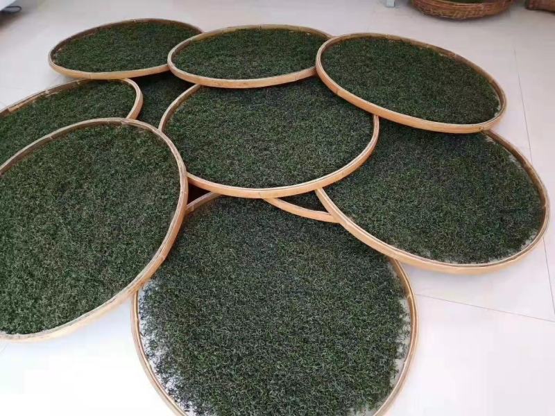 一两黄金一两茶保靖黄金茶大量有货品质保证欢迎老板电话联系