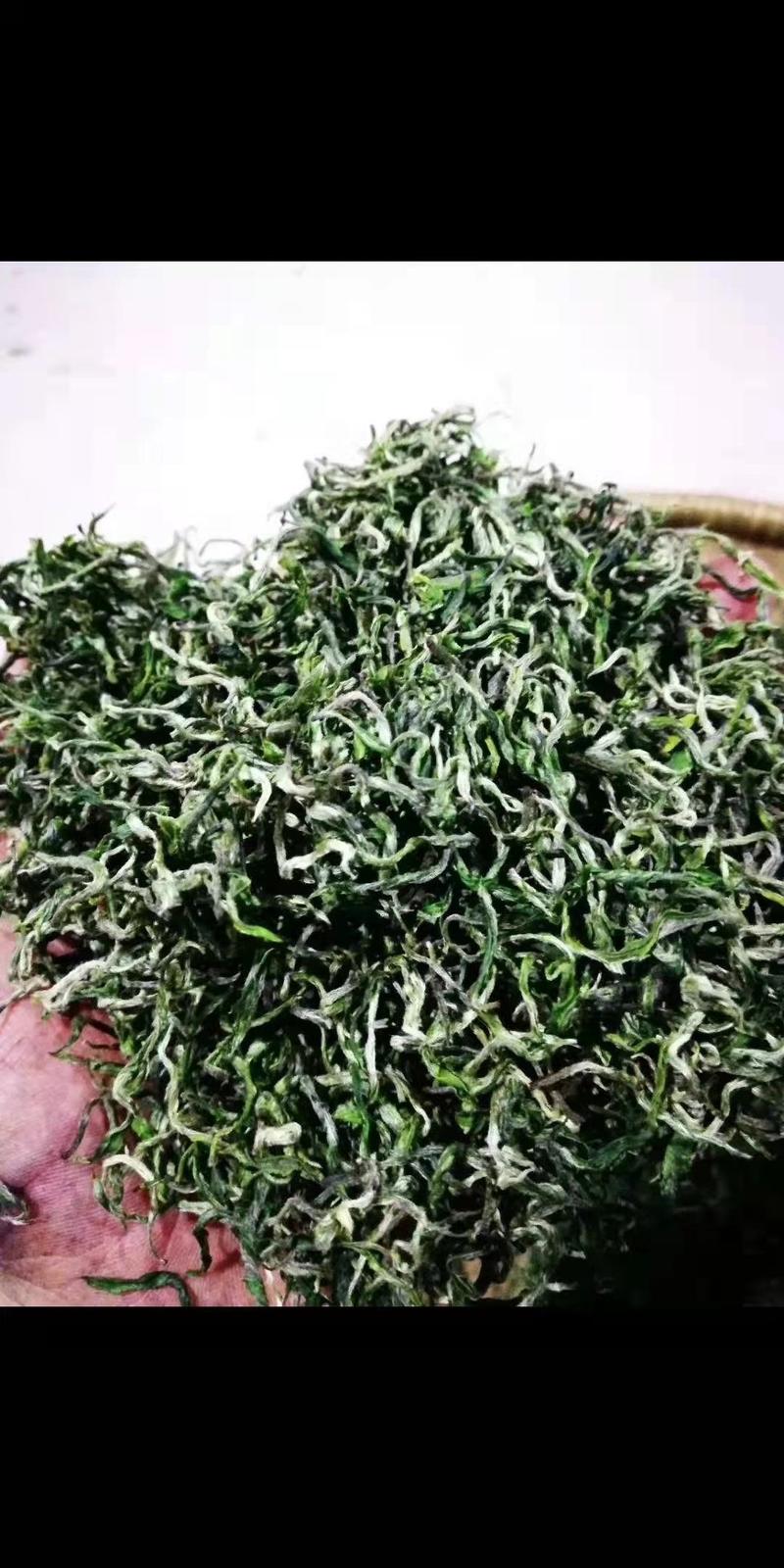 一两黄金一两茶保靖黄金茶大量有货品质保证欢迎老板电话联系