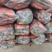 胡萝卜优质北京包胡萝，卜，价不高，质量很好欢迎各位老板前