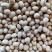 安徽高蛋白大豆，豆腐之类