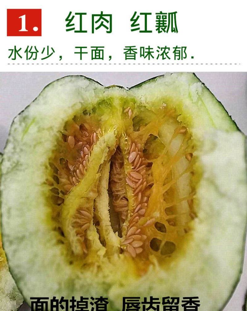 黑皮面香瓜种子200粒