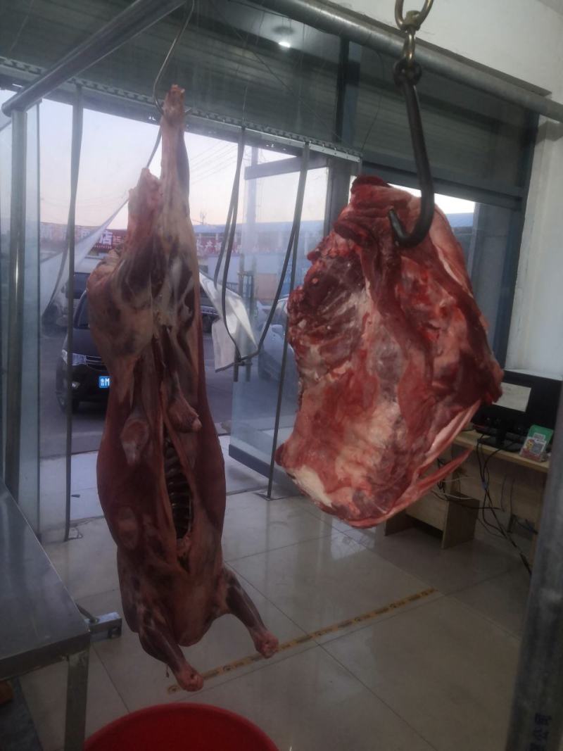 新鲜羊酮体剃肉酮体当天发货全国直达一手货源基地直发