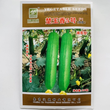 高产肉厚丝瓜种子早熟杂交一代丝瓜种子品质好适应能力强