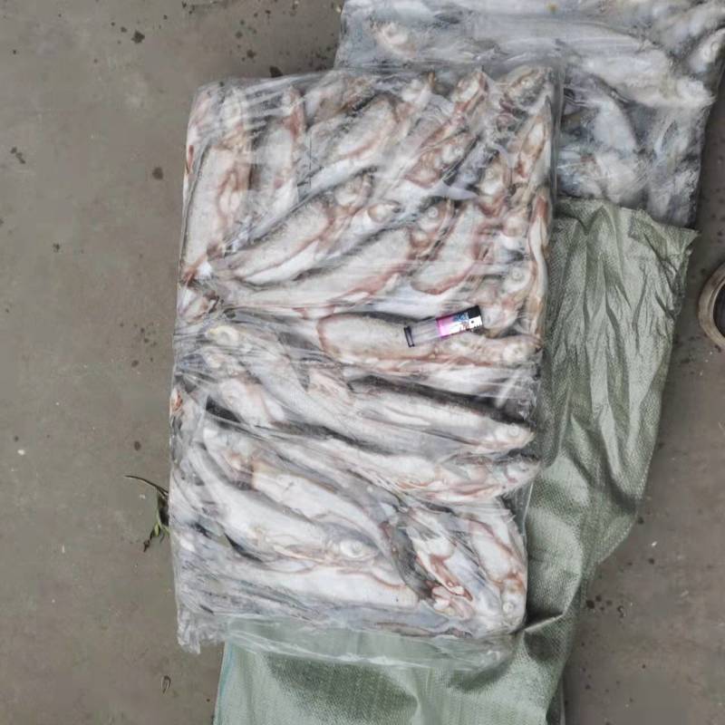 扒肚速冻翘嘴白质量优良：欢迎你下单订购
