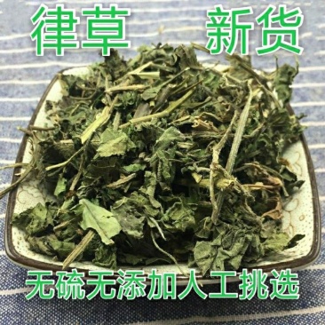 葎草,道地药材,质优价实,品质保证,药典标准,一公斤起批