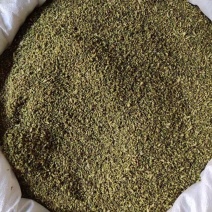 精品槐米大货，颜色绿，净度好，经过风吹，过筛，色选。