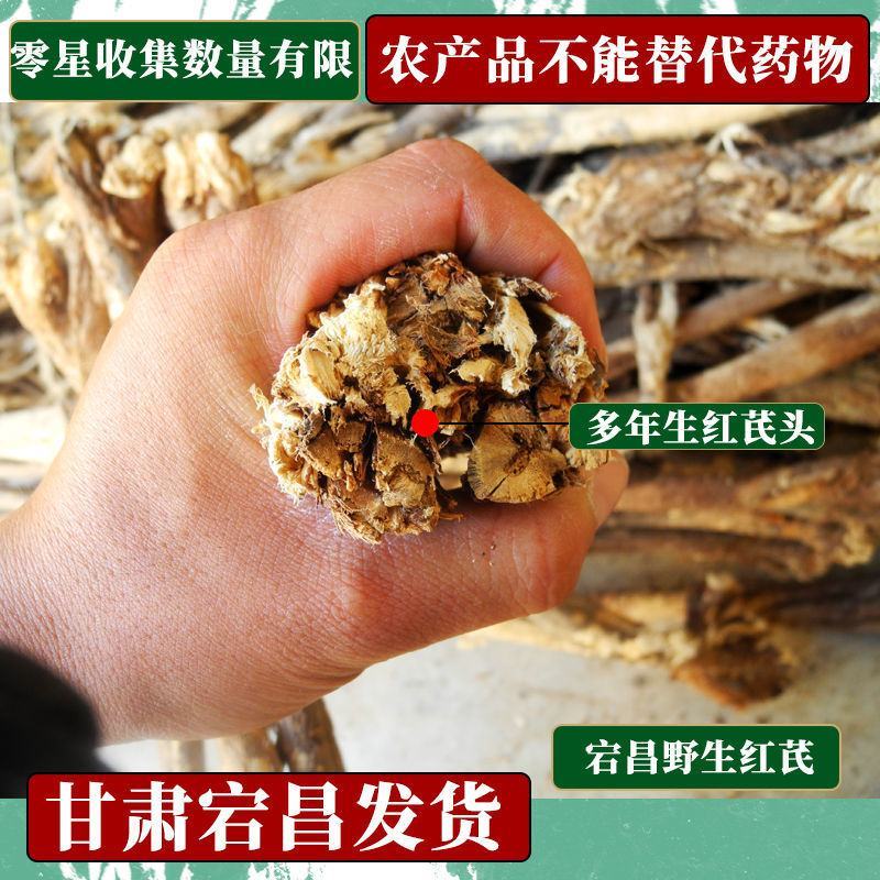 红芪红芪棒，甘肃宕昌发货一手货源，野生红芪棒品质保证