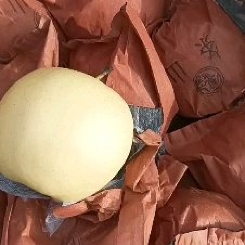 精品黄冠梨有需要的抓紧联系