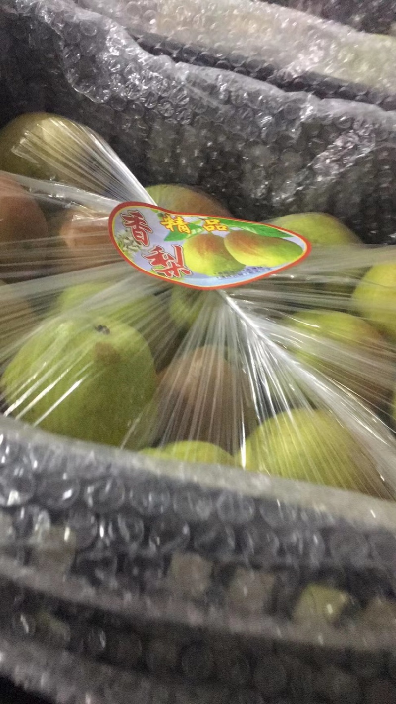 皇冠梨