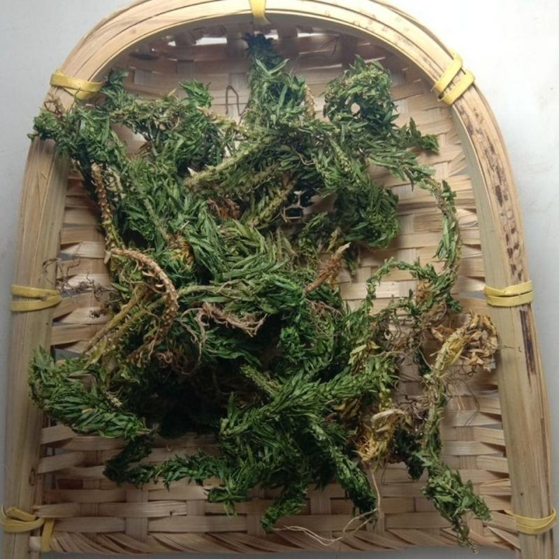 千层塔，干货千层，一手货源，品质保证，药典标准一公斤起批