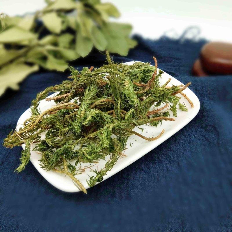 千层塔，干货千层，一手货源，品质保证，药典标准一公斤起批