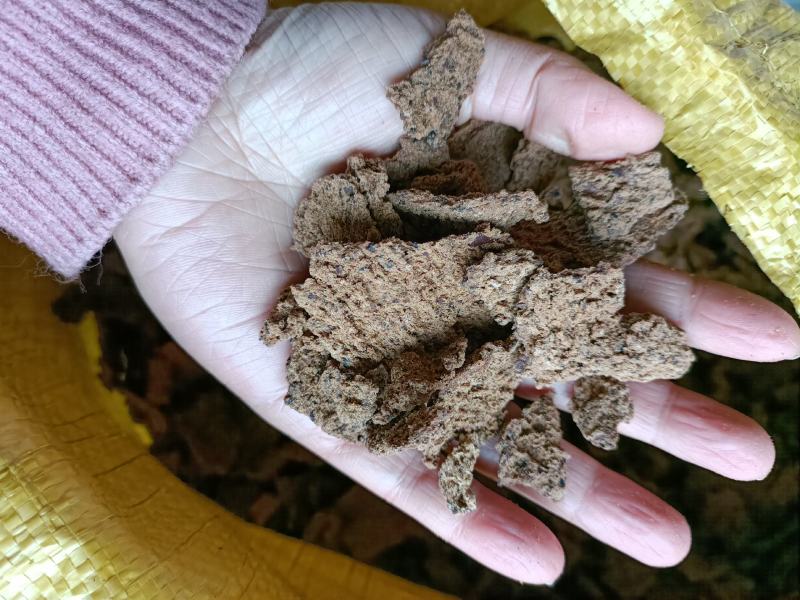 优质茶麸片清塘消毒洗碗洗头做肥料价格便宜肥效持久厂家现货