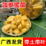 菠萝蜜苗树苗四季当年结果木菠萝嫁接苗马来黄肉南方种植盆栽