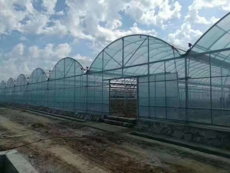 养殖大棚，养羊大棚养鸡大棚养牛大棚耐腐蚀不生锈