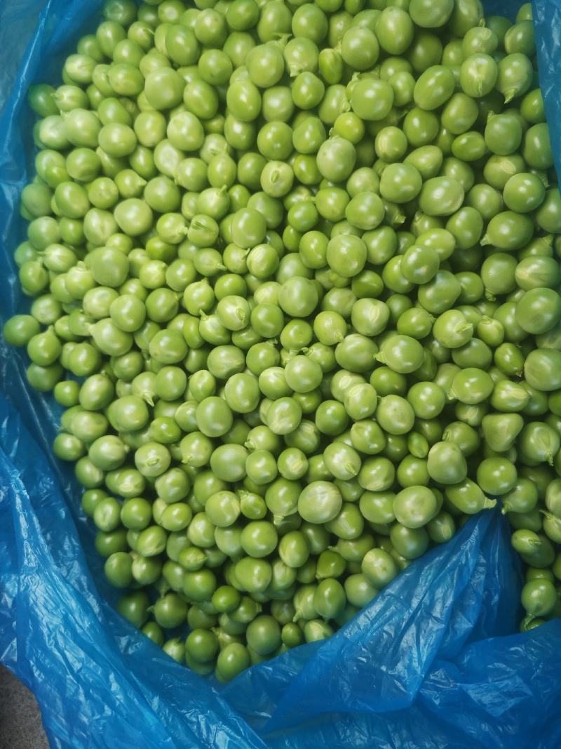 长寿仁豌豆米