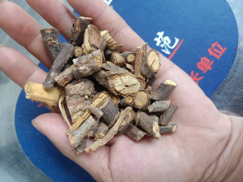 云南普洱深山里的生藤_干货