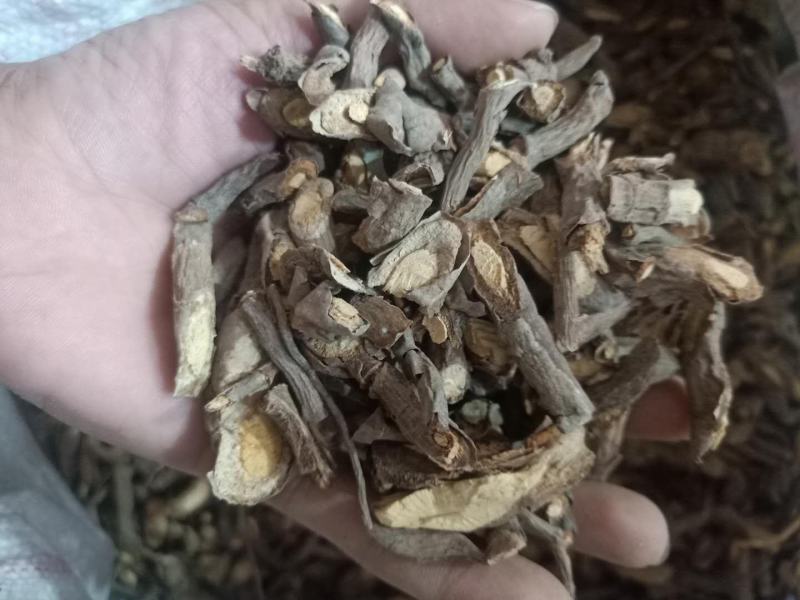 云南普洱深山里的生藤_干货