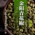 四川金阳花椒种植基地