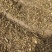 白英