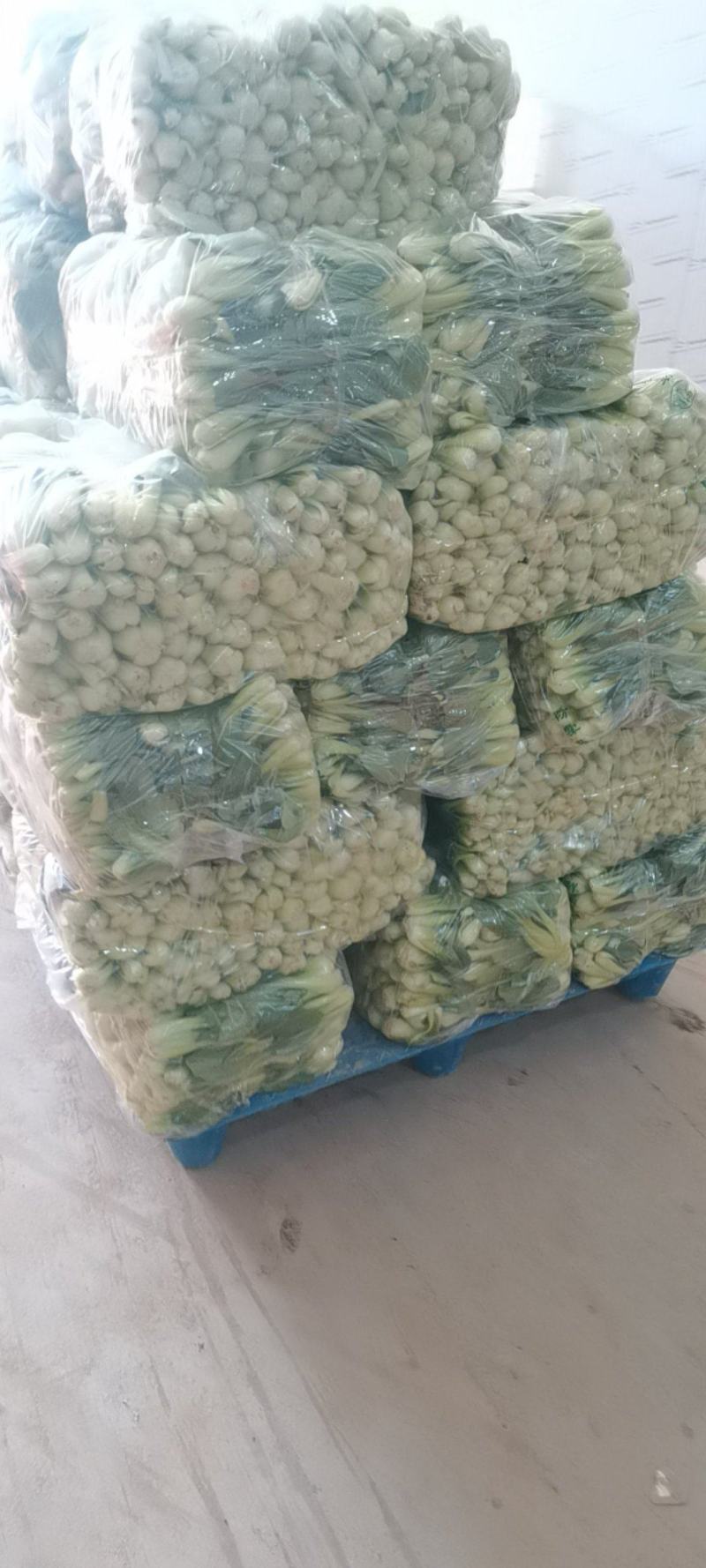 山东曹县蔬菜基地，，全国代办，代收