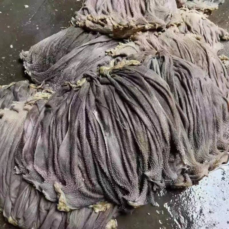 新鲜牛百叶，新鲜牛毛肚，长期供应，欢迎合作